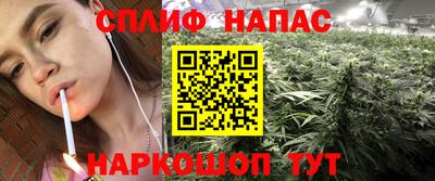 PSILOCYBIN Малгобек