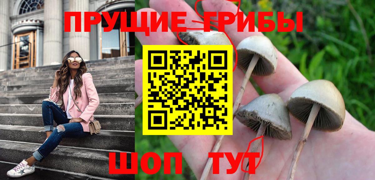 Галлюциногенные грибы мицелий  Псилоцибиновые грибы мухоморы  Вход с VPN  Сургут 