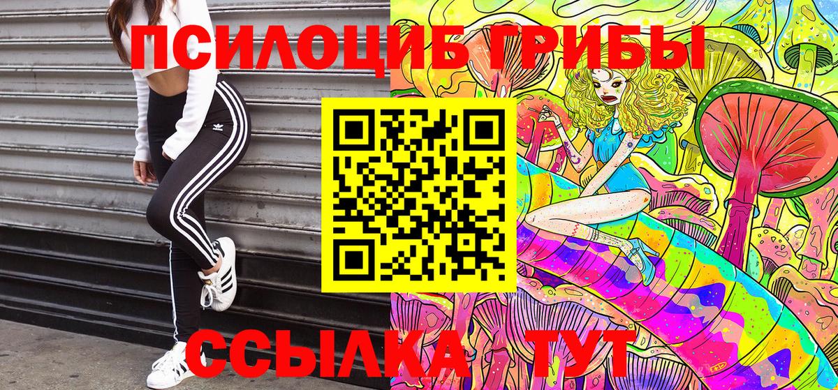 Псилоцибиновые грибы MAGIC MUSHROOMS Сургут